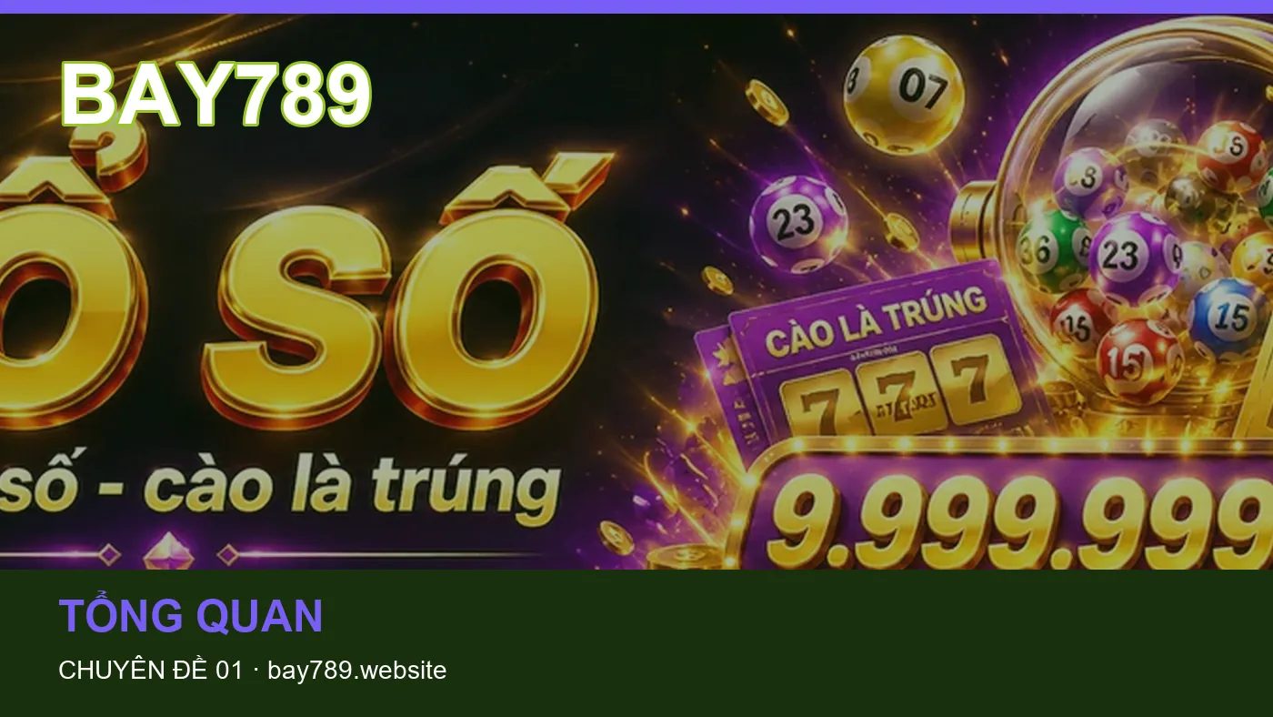 Cách bắt đầu đọc chuyên mục Tổng quan trên BAY789