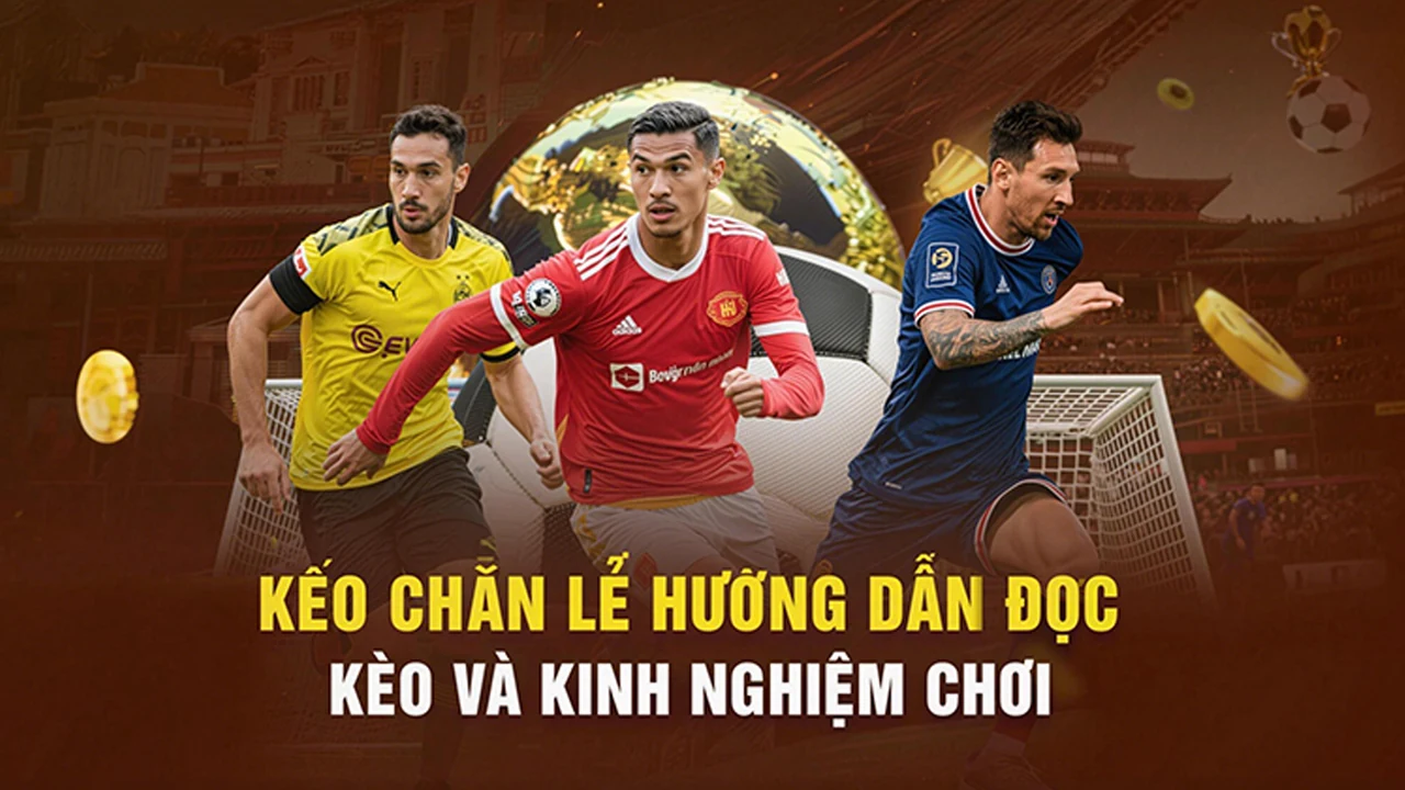Hỗ trợ trên BAY789 – bước kiểm tra thực tế